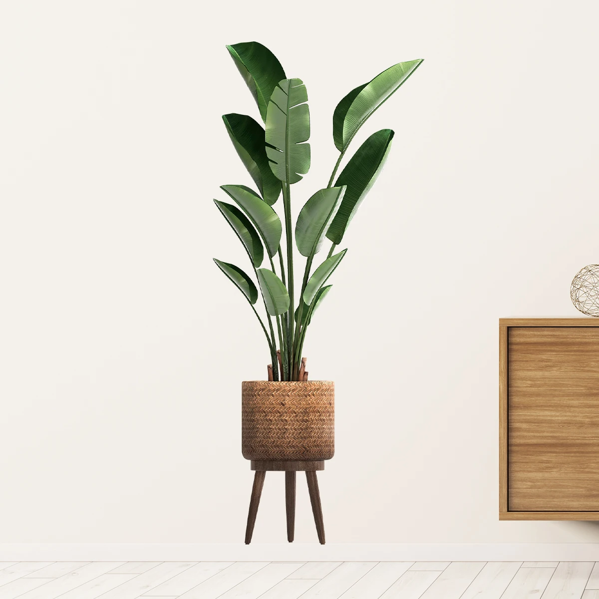Simulation Green Plant Ornamen - đánh giá và giá Interior Design Office