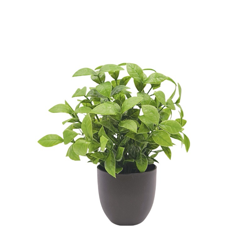 Simulation Green Plant Bonsai  - đánh giá và giá Interior Design Office