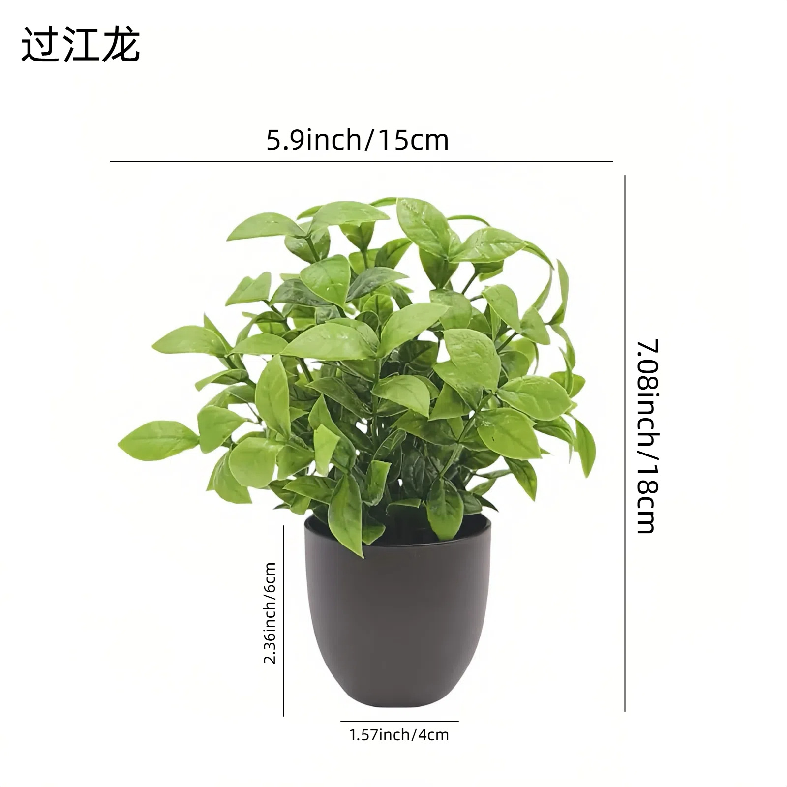 Simulation Green Plant Bonsai  - đánh giá và giá Interior Design Office