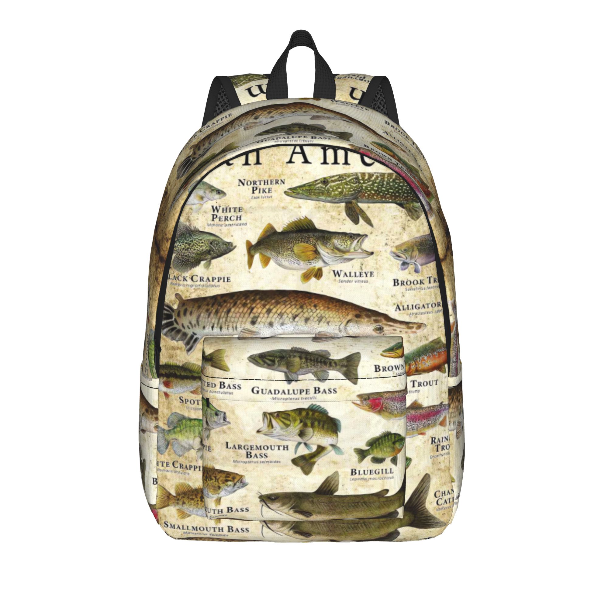 Fish Alphabet Educational Fres - đánh giá và giá Interior Design Education